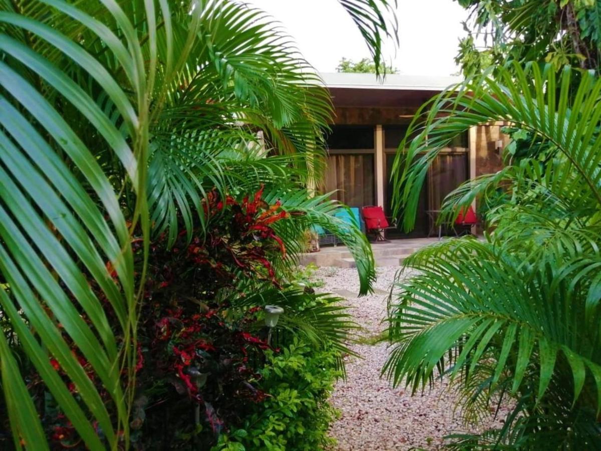 Suite Paraiso Azul, Confort y Descanso. Tamarindo Exterior foto